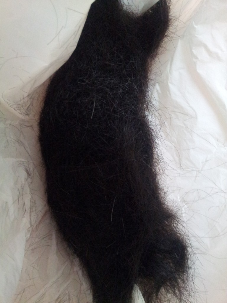 猫っぽい毛
